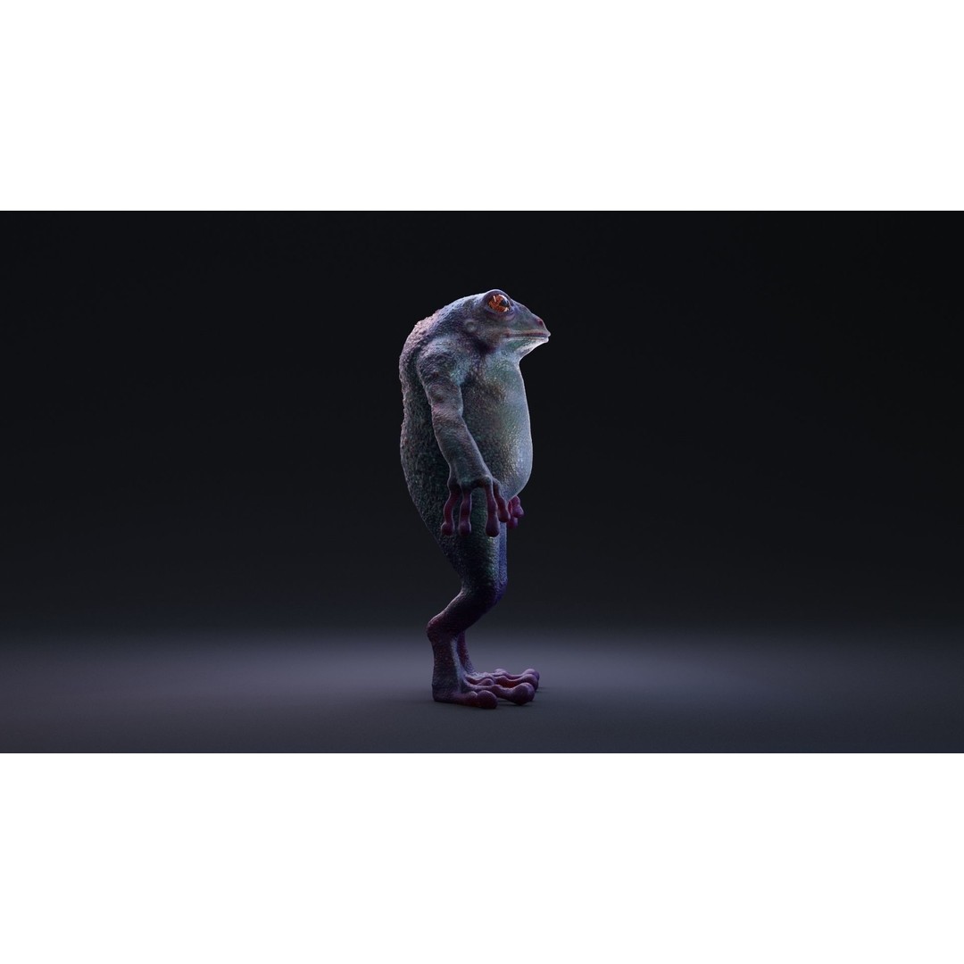 Blue Frog 3D Model – Rigged Low-Poly Game Asset, FBX - View 19