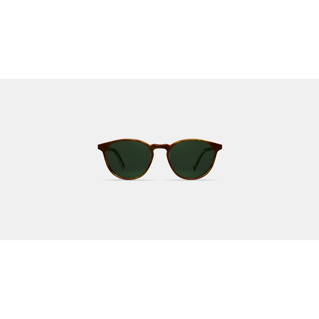 Butler Sunglasses 3D Model – Low Poly Butterscotch Tortoise Asset - View 11