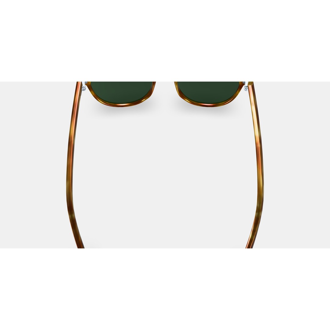 Butler Sunglasses 3D Model – Low Poly Butterscotch Tortoise Asset - View 6