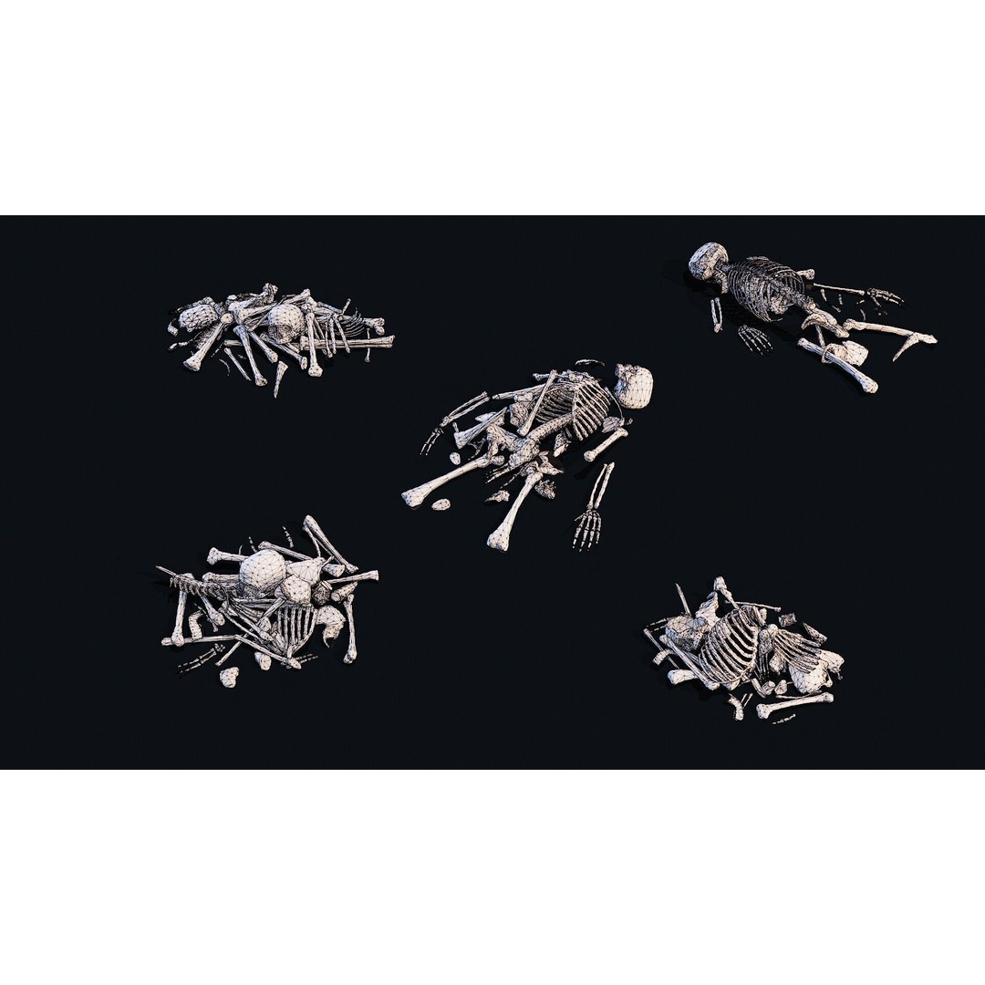 Human Bones Pile 3D Model – Low Poly PBR Asset, FBX, OBJ