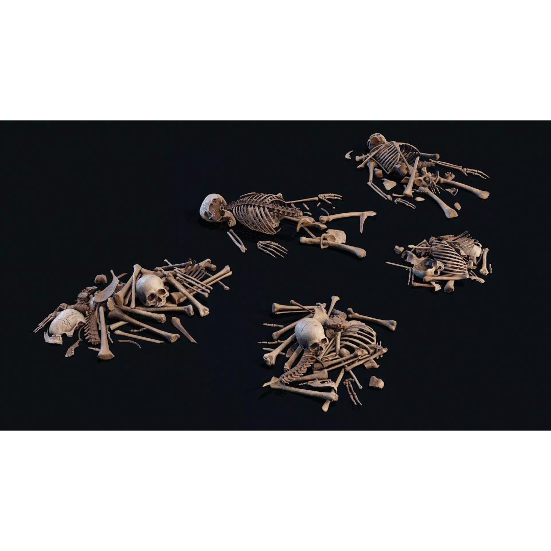 Human Bones Pile 3D Model – Low Poly PBR Asset, FBX, OBJ - View 2