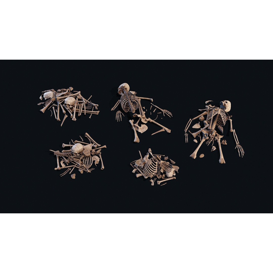 Human Bones Pile 3D Model – Low Poly PBR Asset, FBX, OBJ - View 3