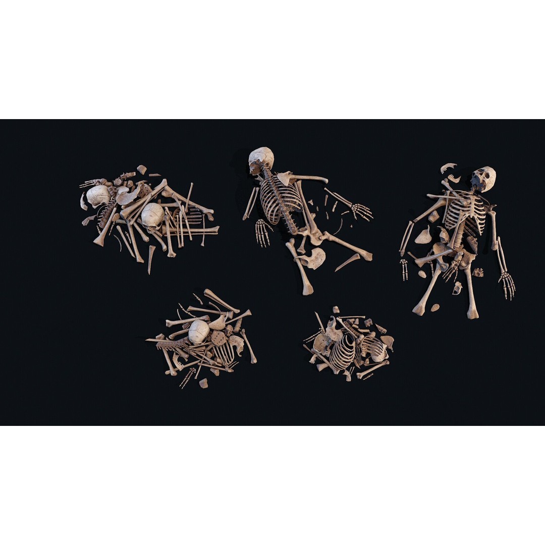 Human Bones Pile 3D Model – Low Poly PBR Asset, FBX, OBJ - View 5