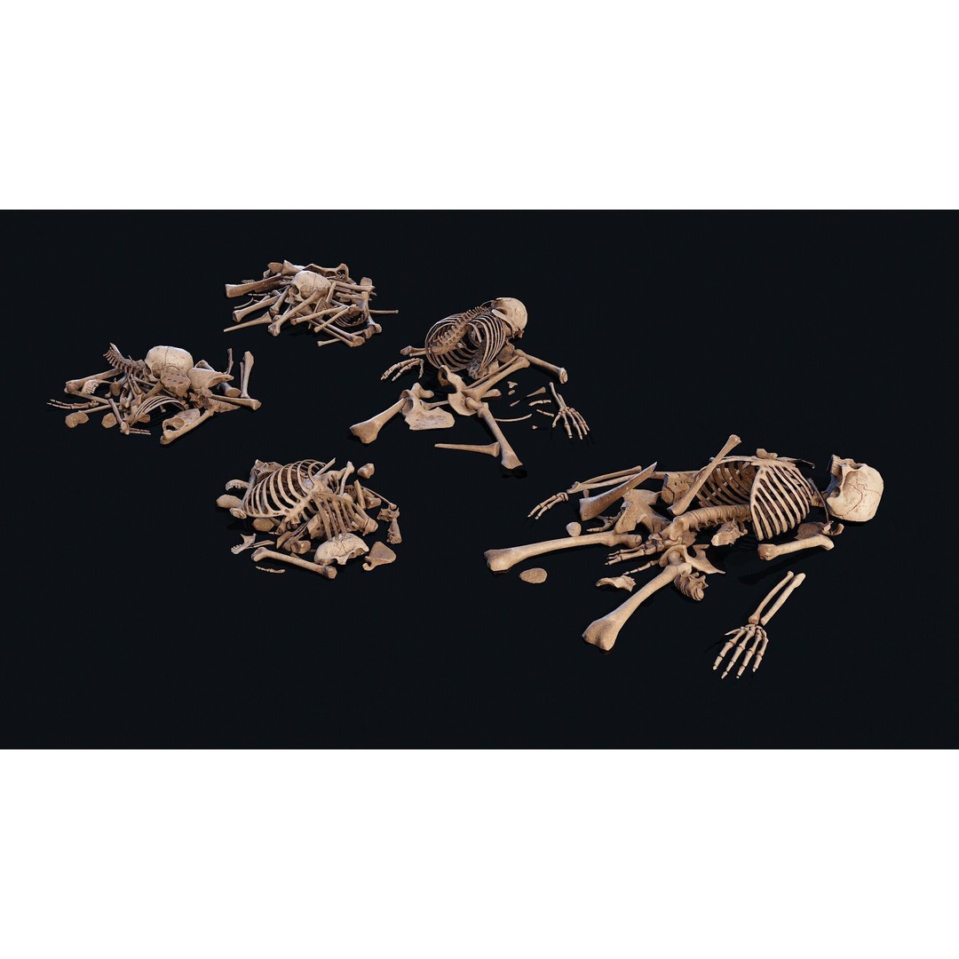 Human Bones Pile 3D Model – Low Poly PBR Asset, FBX, OBJ - View 6