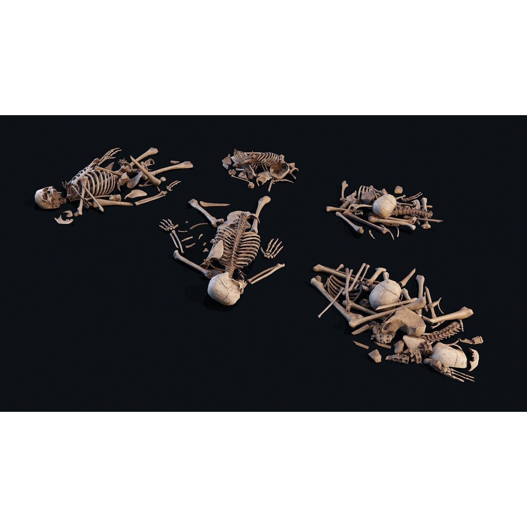 Human Bones Pile 3D Model – Low Poly PBR Asset, FBX, OBJ - View 7
