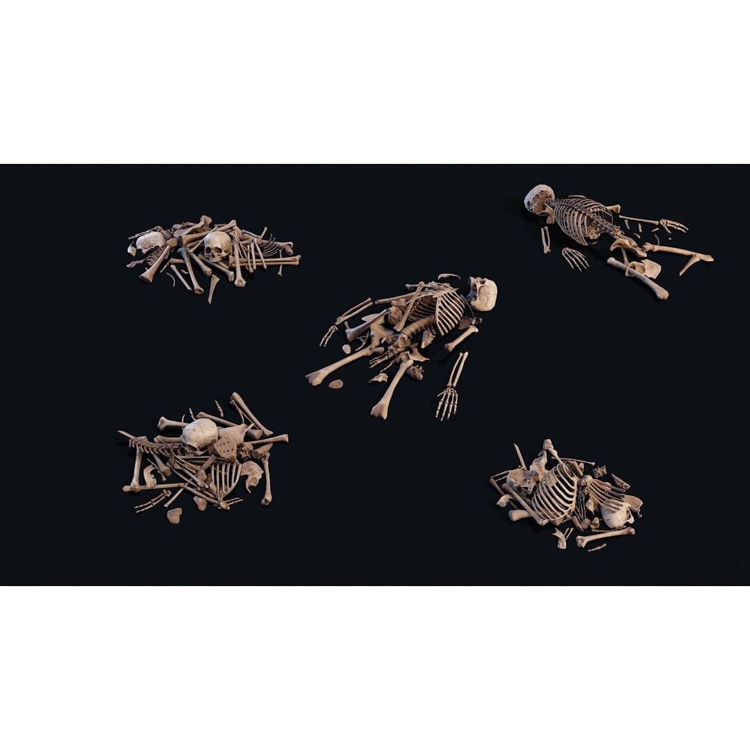 Human Bones Pile 3D Model – Low Poly PBR Asset, FBX, OBJ - View 8
