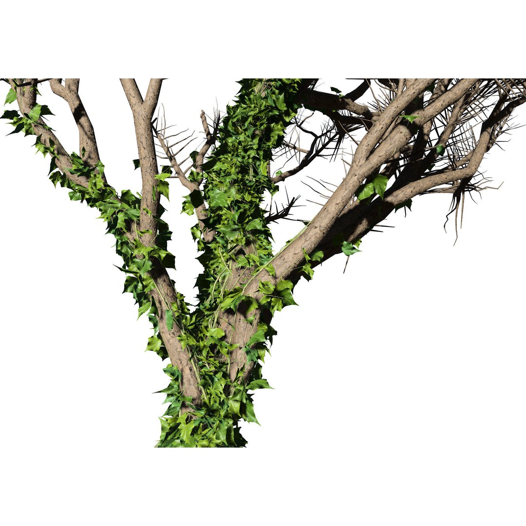 Ivy Climbers 3D Model – Low Poly Winter Scene, Game Ready Formats - View 12