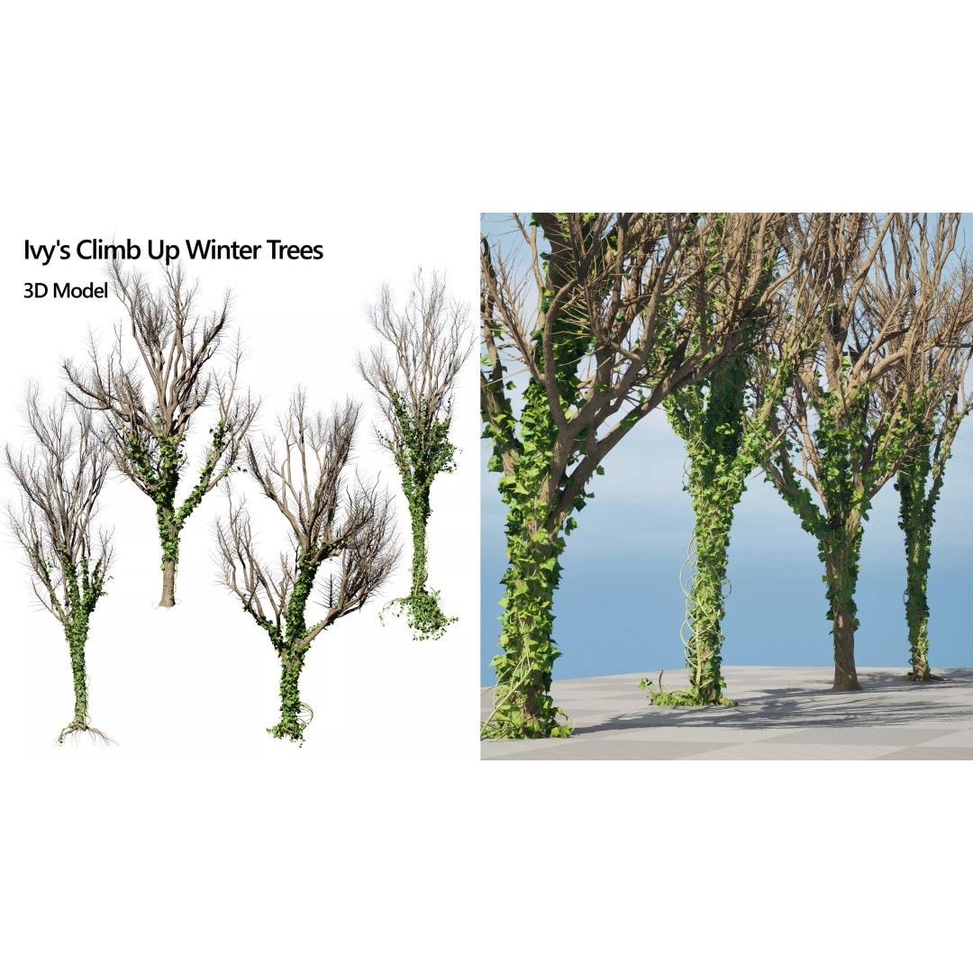 Ivy Climbers 3D Model – Low Poly Winter Scene, Game Ready Formats - View 2
