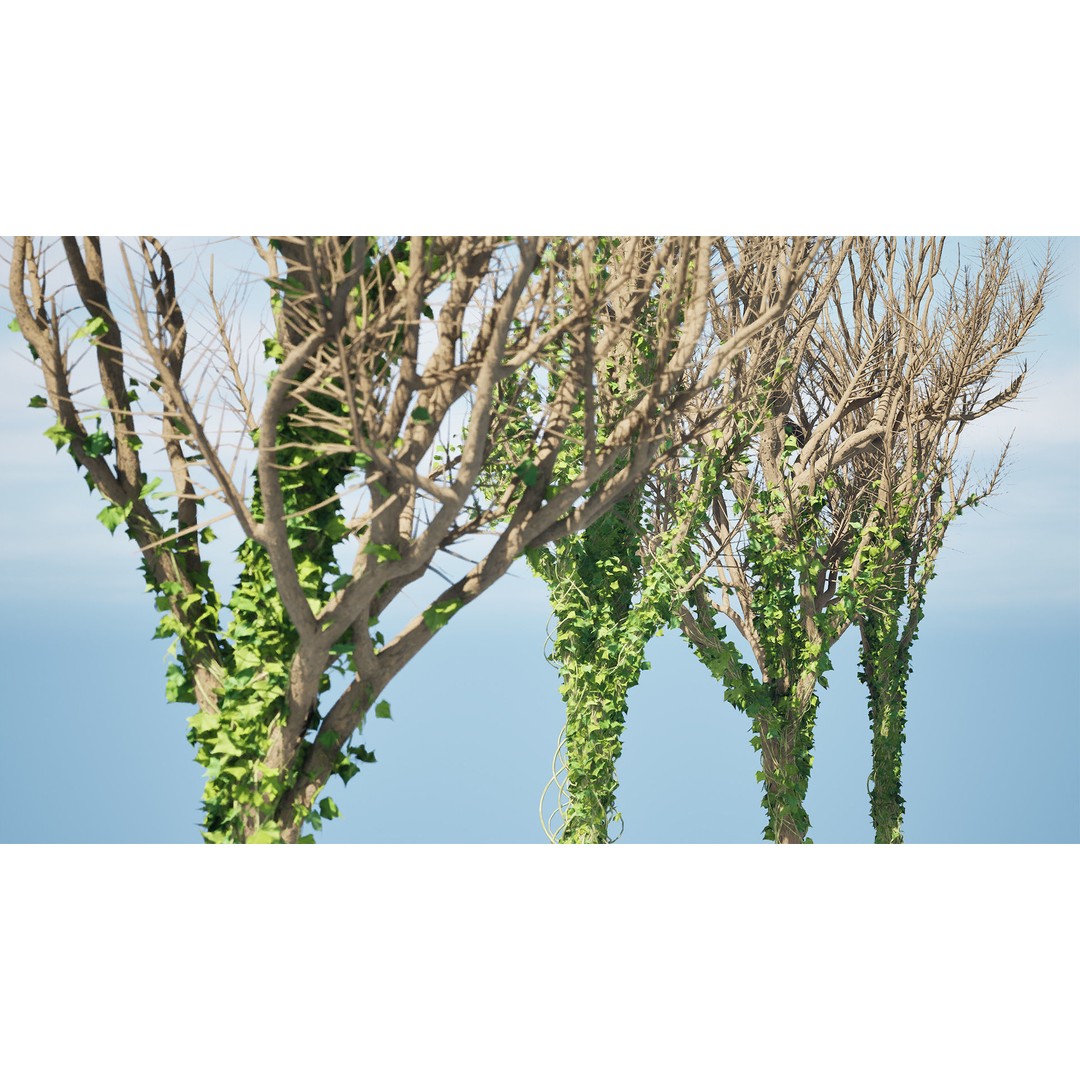 Ivy Climbers 3D Model – Low Poly Winter Scene, Game Ready Formats - View 5