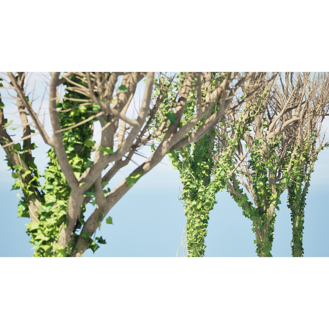 Ivy Climbers 3D Model – Low Poly Winter Scene, Game Ready Formats - View 6