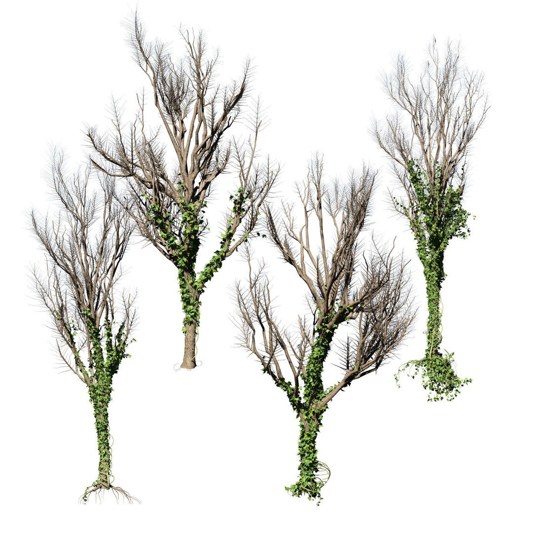 Ivy Climbers 3D Model – Low Poly Winter Scene, Game Ready Formats - View 8