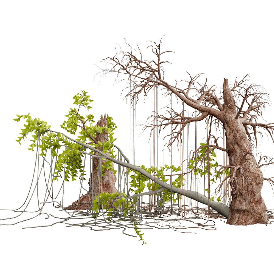 Tarzan Tree 3D Model – Low Poly Jungle Asset, FBX, PBR Textures - View 4