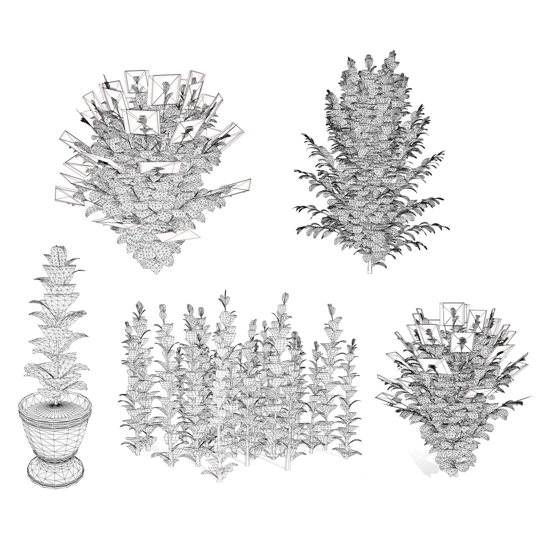 Dream Dazzler Shrub 3D Model – Low Poly Game Asset, PBR Textures