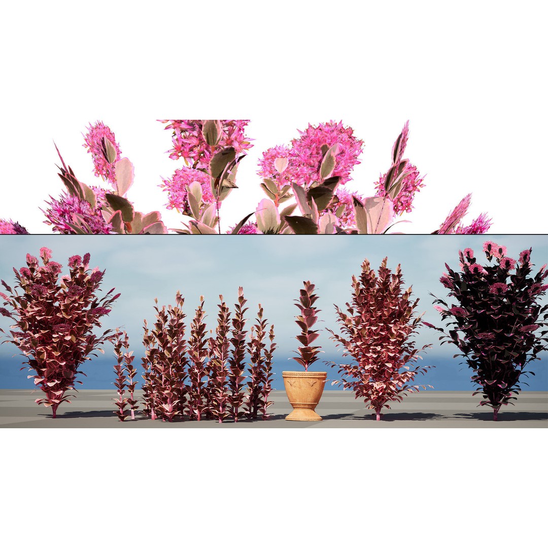 Dream Dazzler Shrub 3D Model – Low Poly Game Asset, PBR Textures - View 3