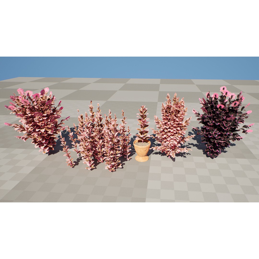 Dream Dazzler Shrub 3D Model – Low Poly Game Asset, PBR Textures - View 9