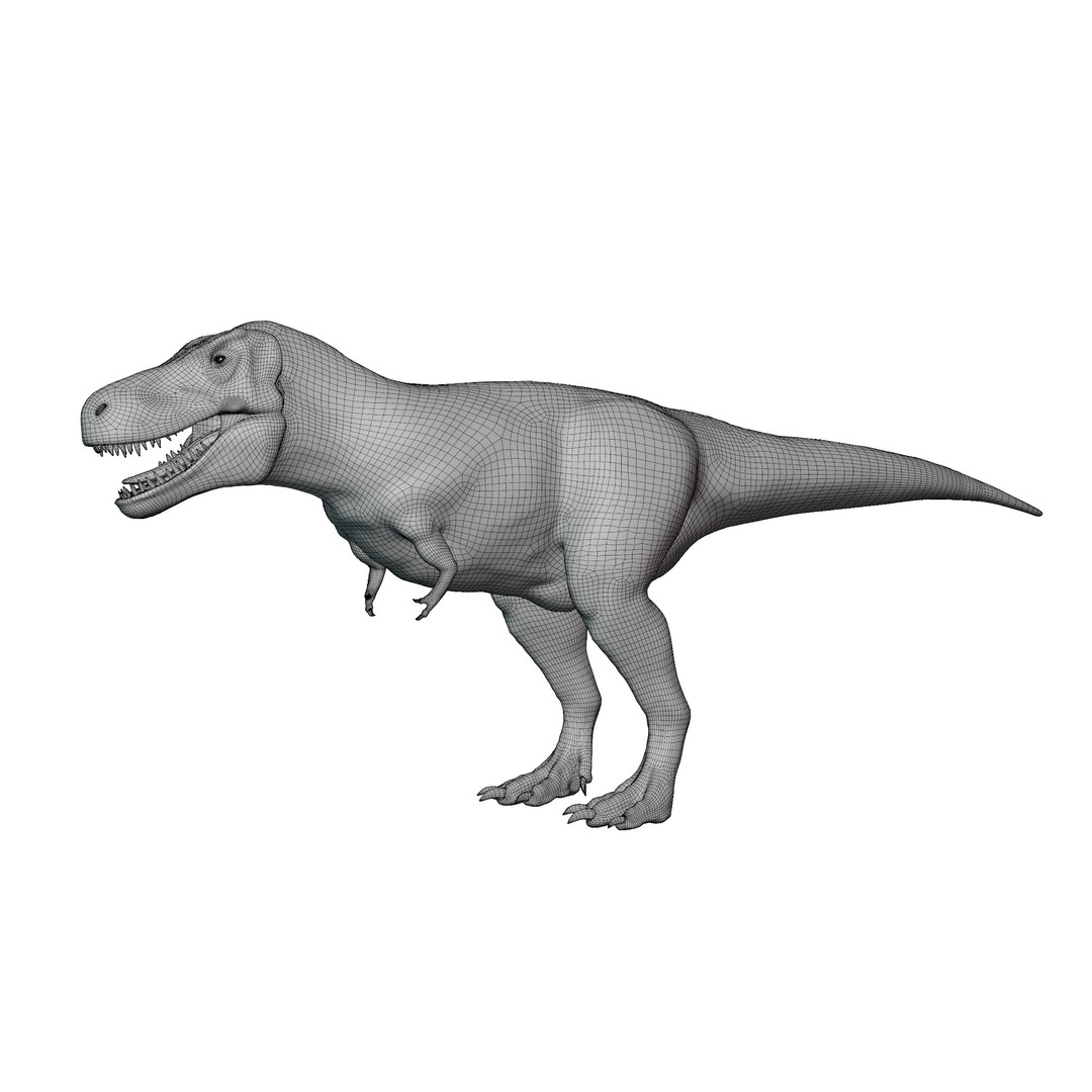 Tyrannosaurus Rex 3D Model – Low Poly Rigged Dinosaur Asset, FBX, OBJ