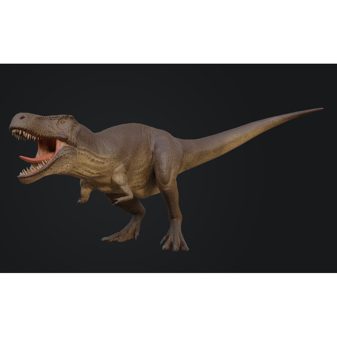 Tyrannosaurus Rex 3D Model – Low Poly Rigged Dinosaur Asset, FBX, OBJ - View 10
