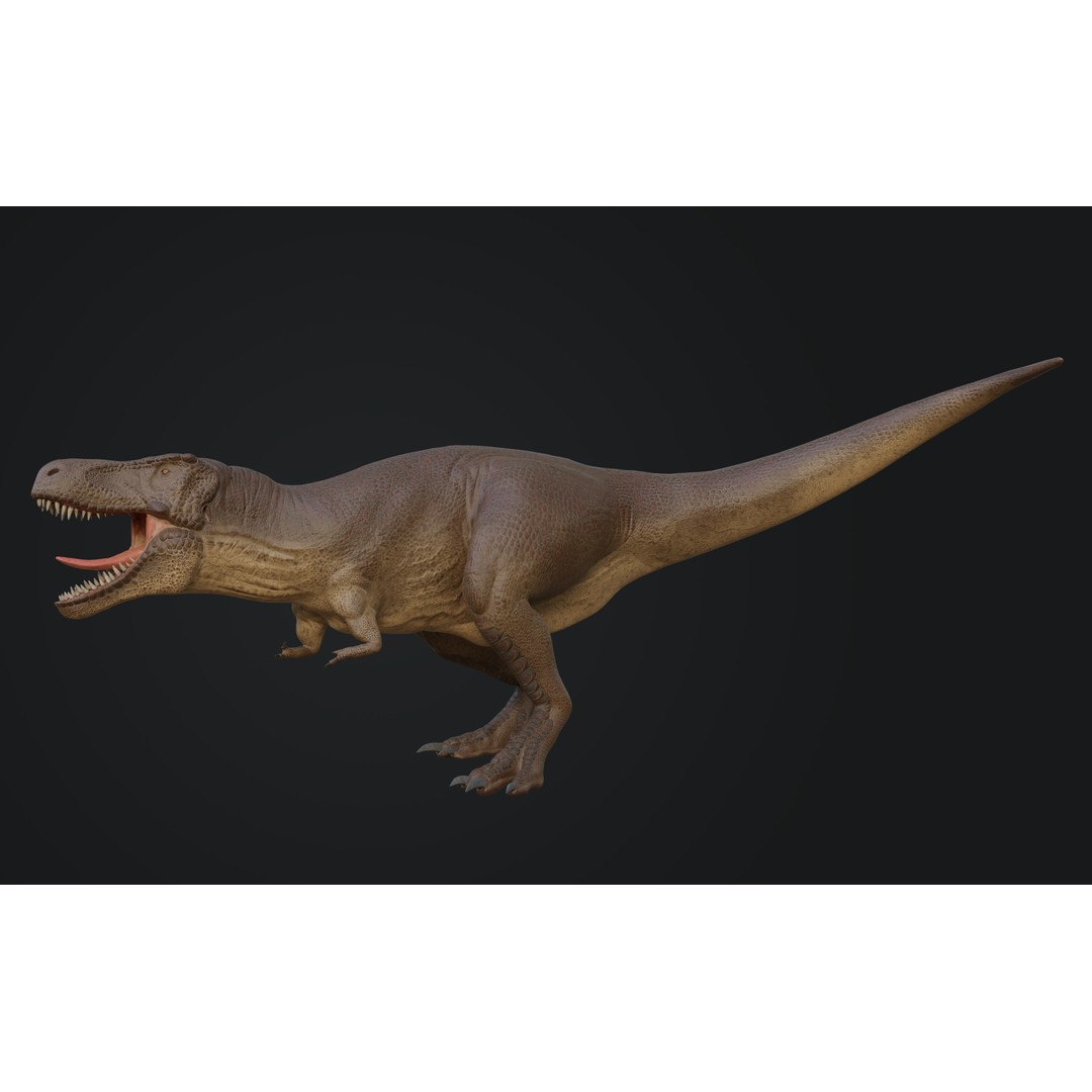 Tyrannosaurus Rex 3D Model – Low Poly Rigged Dinosaur Asset, FBX, OBJ - View 11