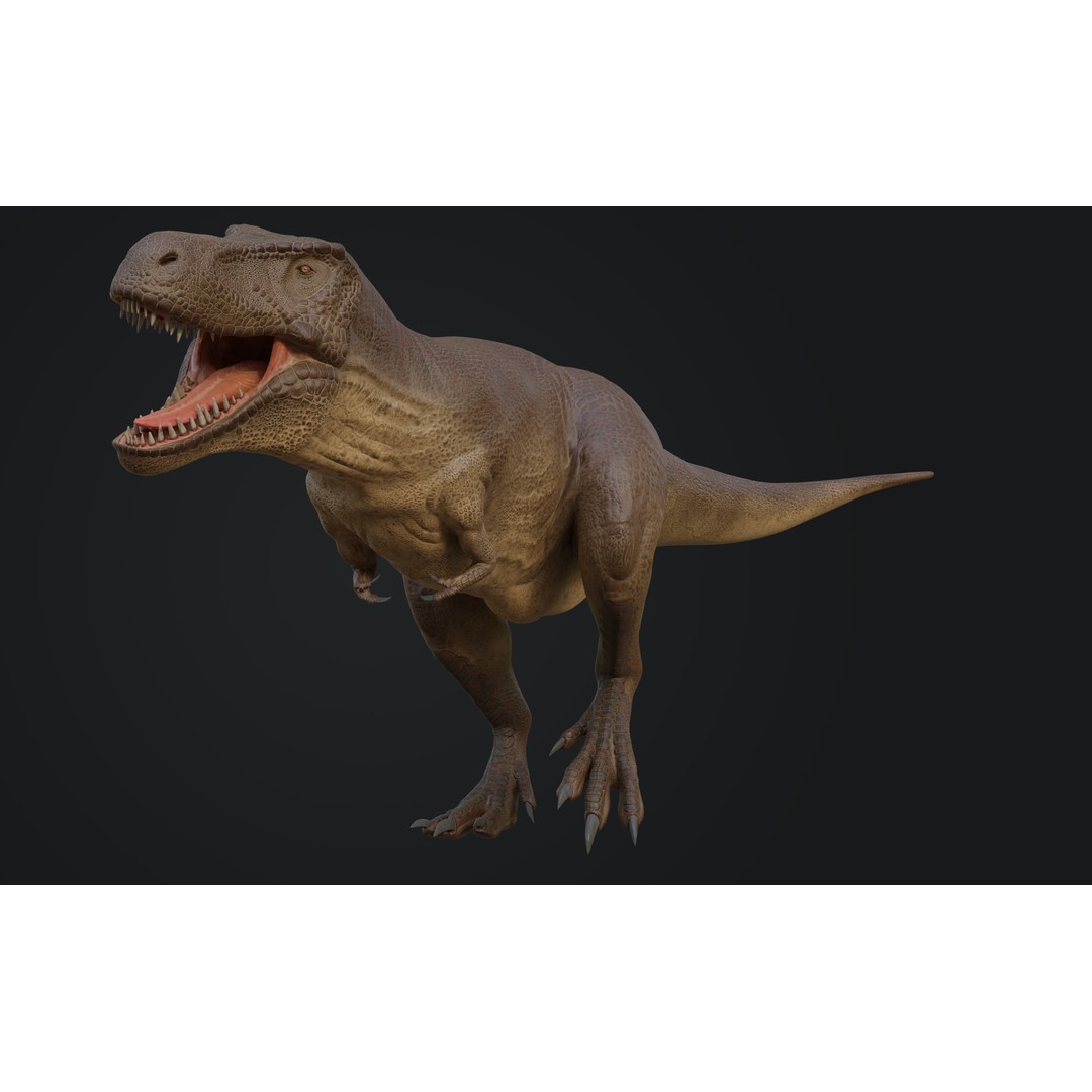 Tyrannosaurus Rex 3D Model – Low Poly Rigged Dinosaur Asset, FBX, OBJ - View 12