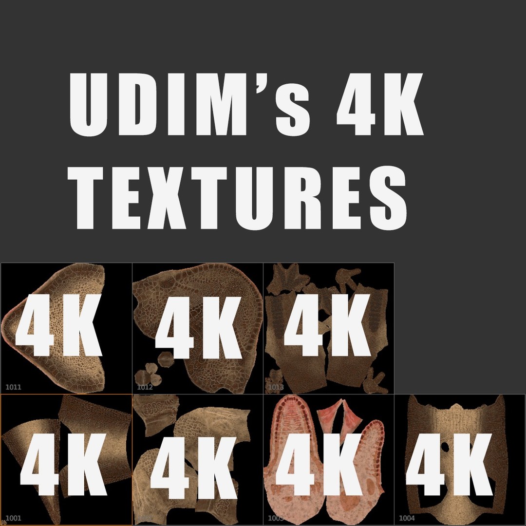 Tyrannosaurus Rex 3D Model – Low Poly Rigged Dinosaur Asset, FBX, OBJ - View 13