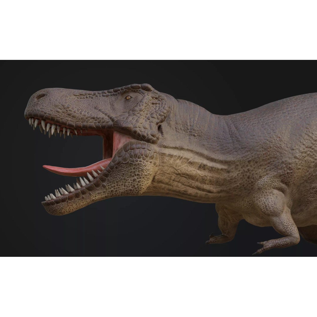 Tyrannosaurus Rex 3D Model – Low Poly Rigged Dinosaur Asset, FBX, OBJ - View 2