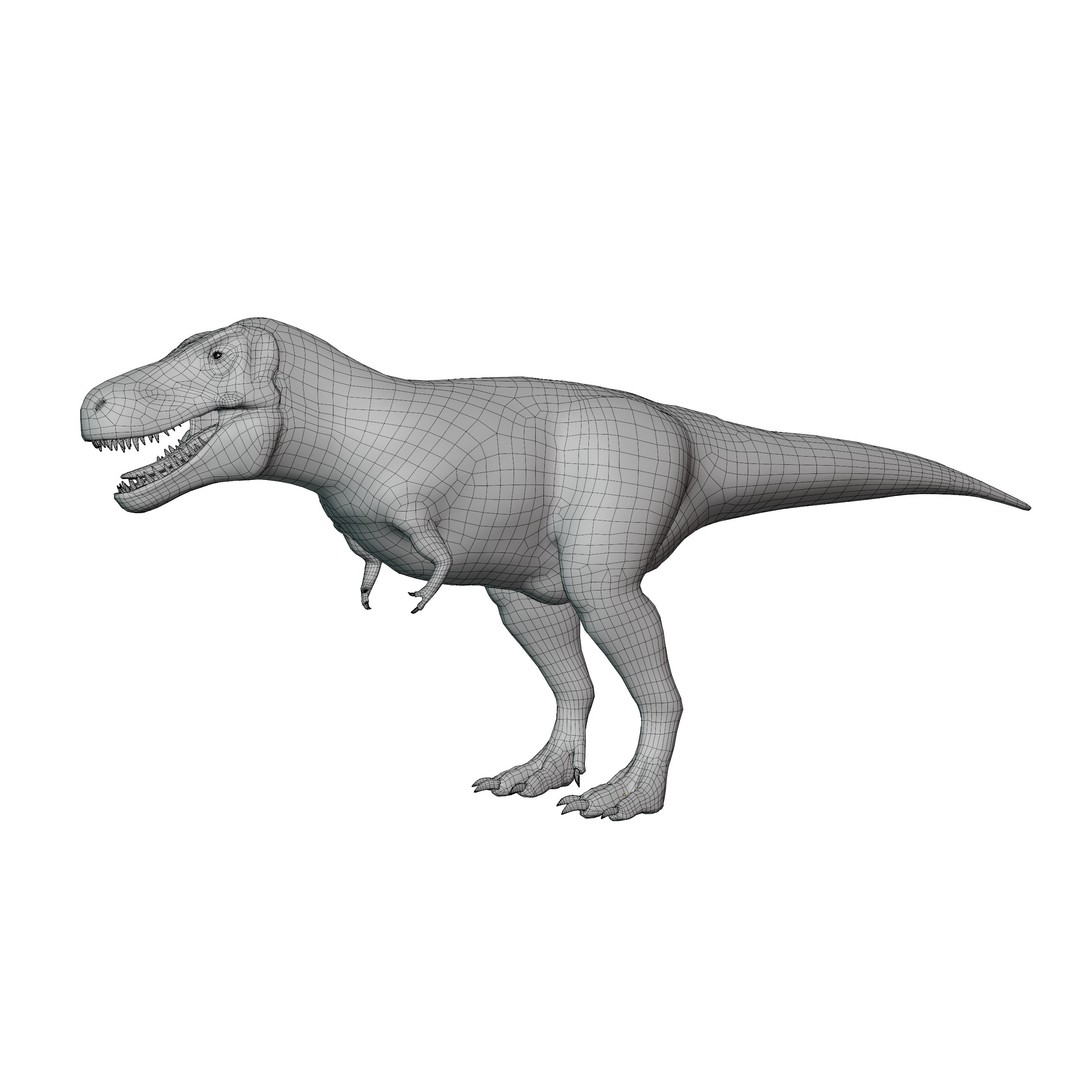 Tyrannosaurus Rex 3D Model – Low Poly Rigged Dinosaur Asset, FBX, OBJ - View 20