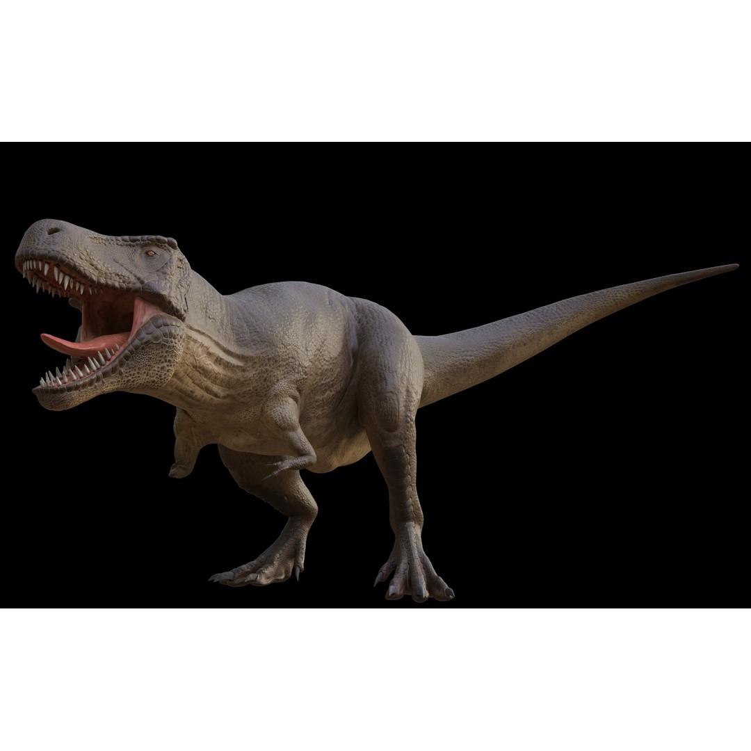 Tyrannosaurus Rex 3D Model – Low Poly Rigged Dinosaur Asset, FBX, OBJ - View 3
