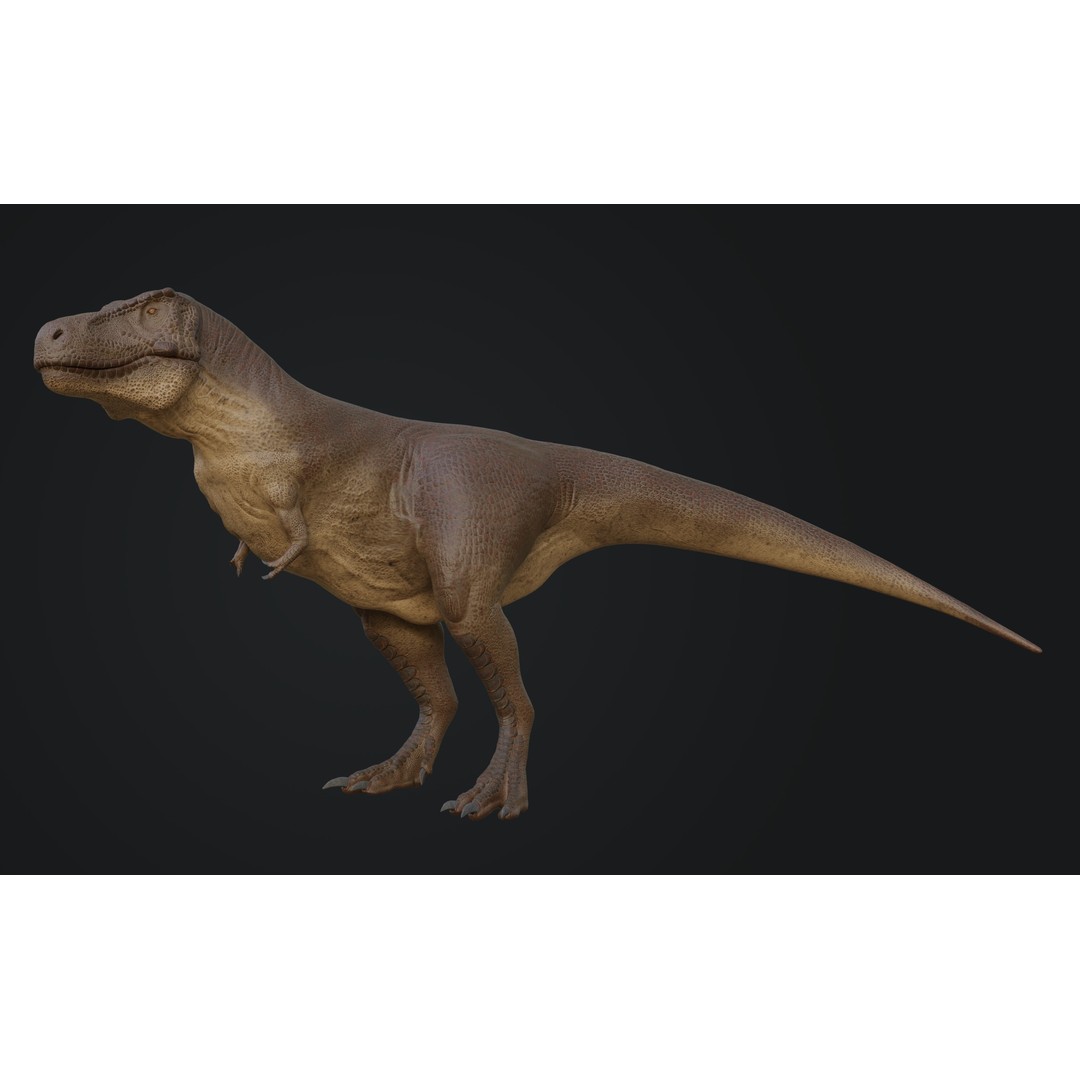 Tyrannosaurus Rex 3D Model – Low Poly Rigged Dinosaur Asset, FBX, OBJ - View 4