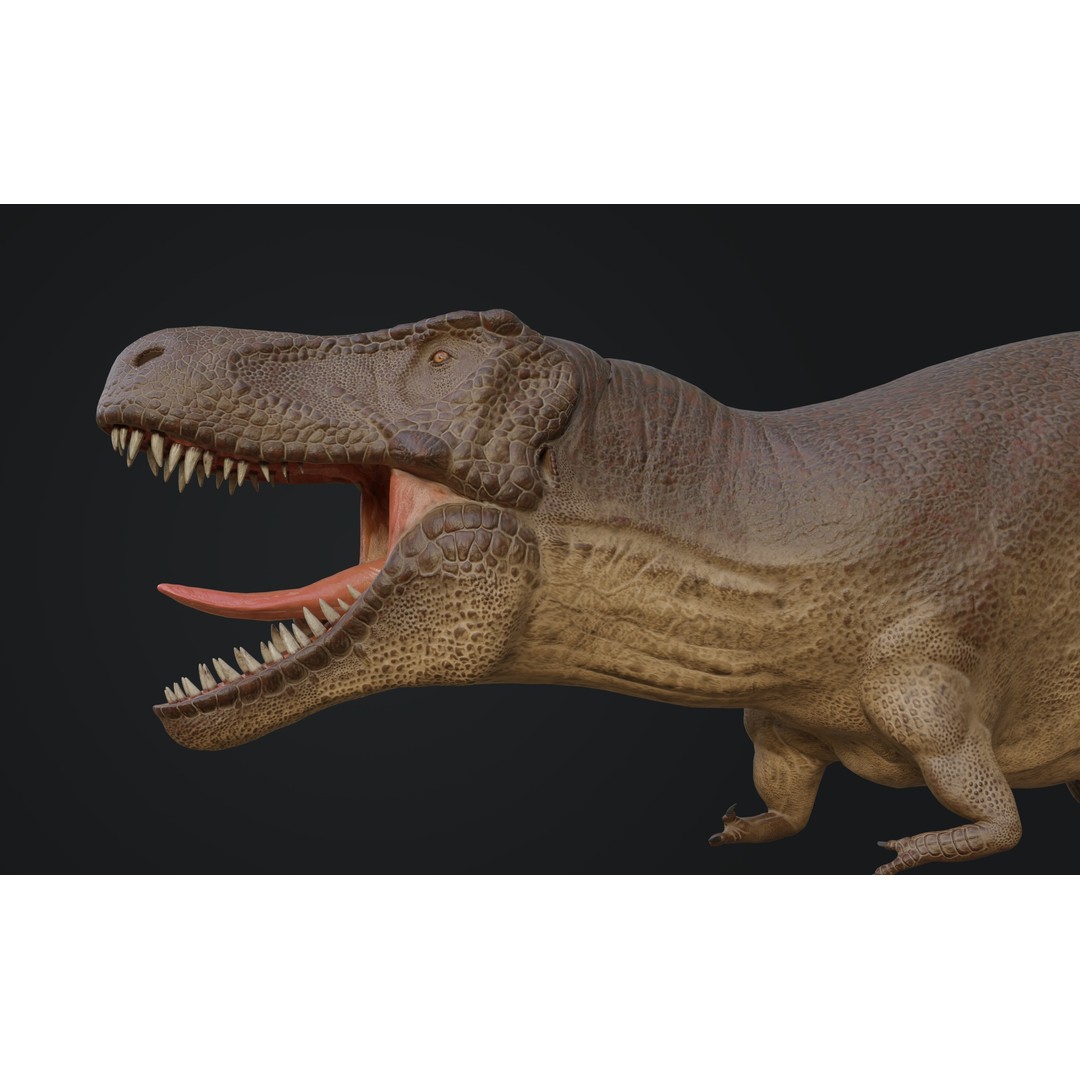 Tyrannosaurus Rex 3D Model – Low Poly Rigged Dinosaur Asset, FBX, OBJ - View 5