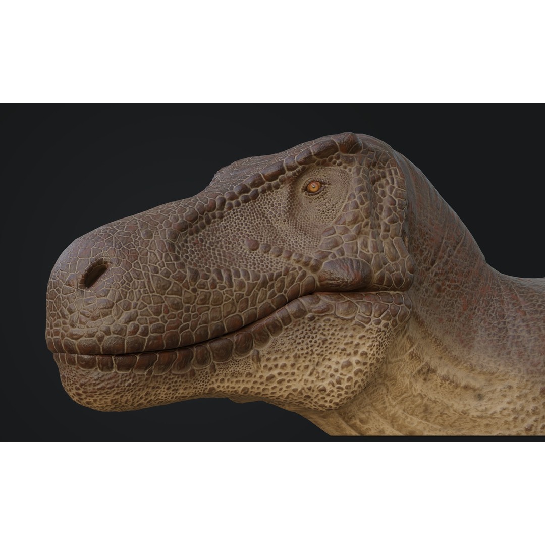Tyrannosaurus Rex 3D Model – Low Poly Rigged Dinosaur Asset, FBX, OBJ - View 6