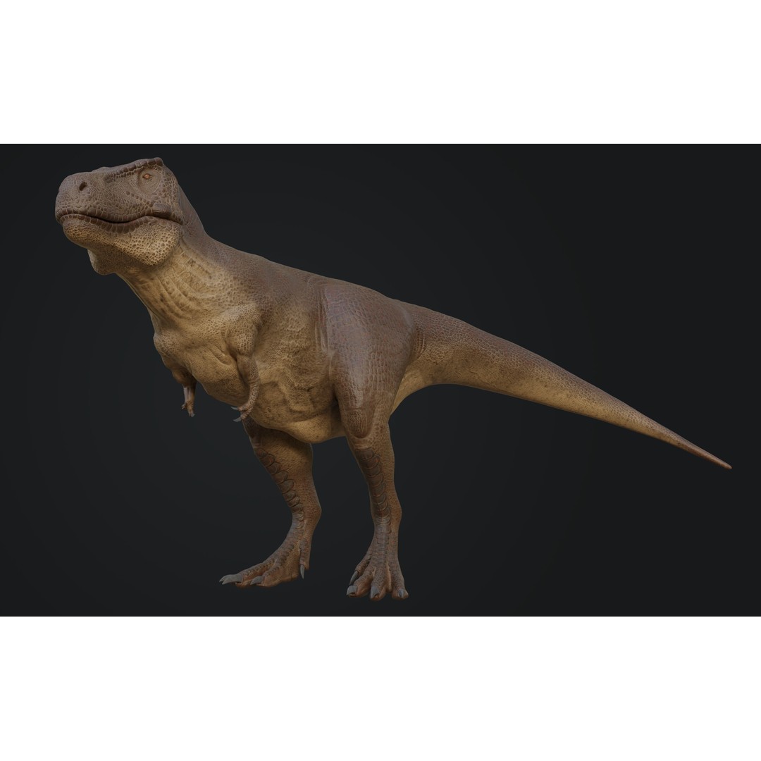Tyrannosaurus Rex 3D Model – Low Poly Rigged Dinosaur Asset, FBX, OBJ - View 7