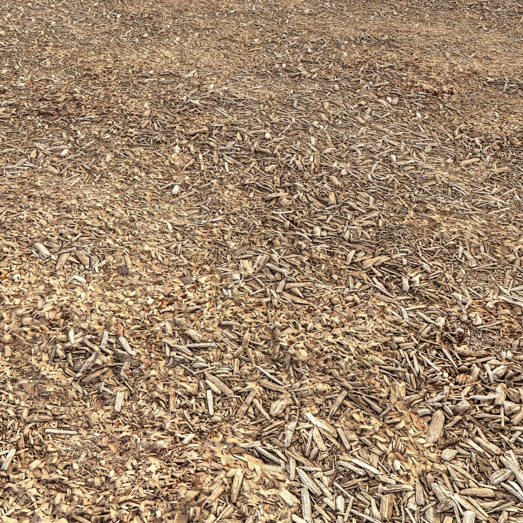 Tree Bark Mulch 3D Model – High Quality Textures, PBR, FBX, OBJ - View 6
