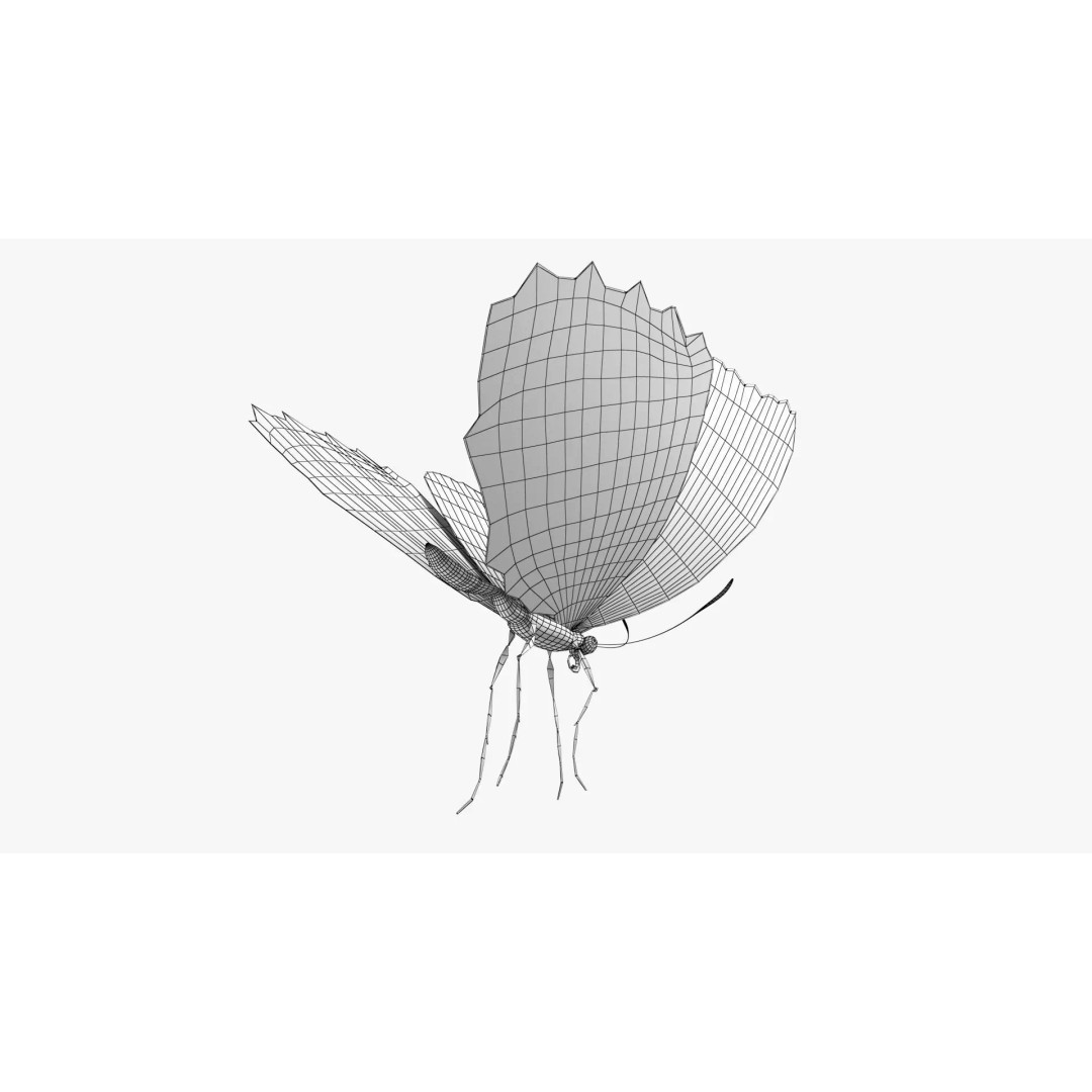 Blue Morpho Butterfly 3D Model – Low Poly PBR Textures, FBX & OBJ