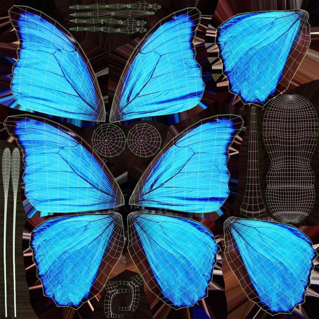 Blue Morpho Butterfly 3D Model – Low Poly PBR Textures, FBX & OBJ - View 12