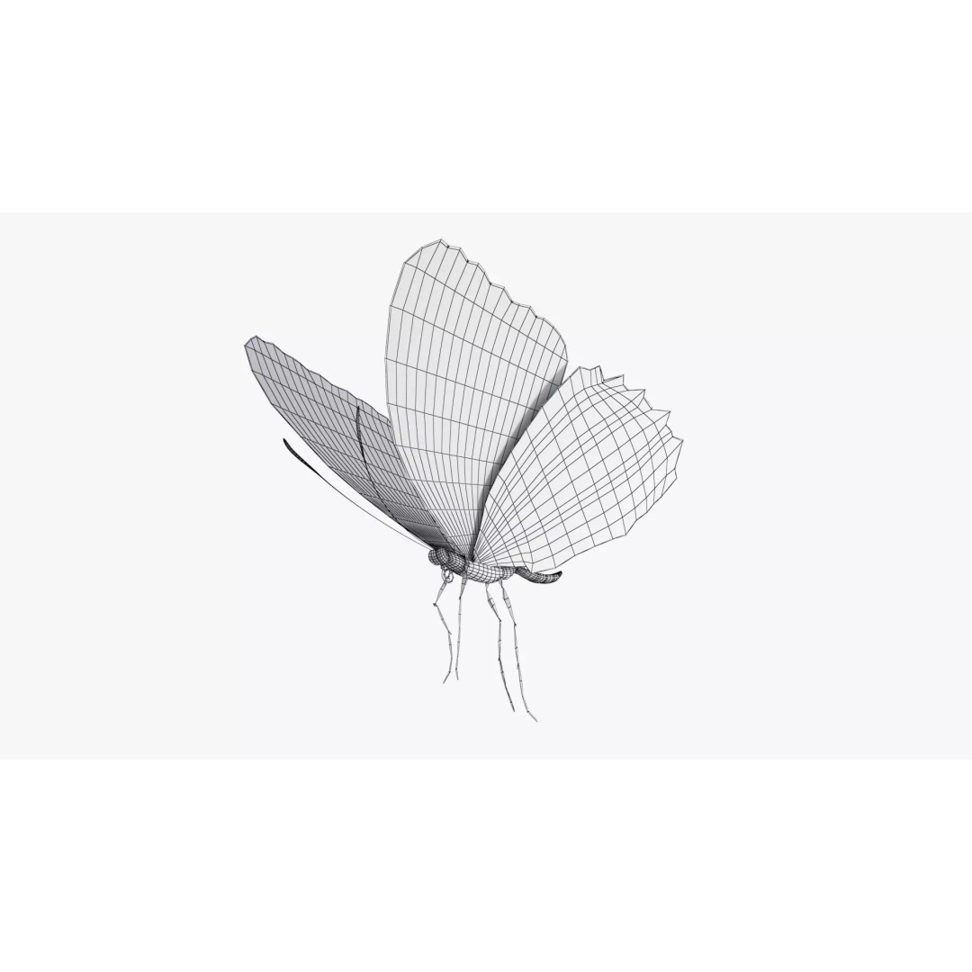 Blue Morpho Butterfly 3D Model – Low Poly PBR Textures, FBX & OBJ - View 13