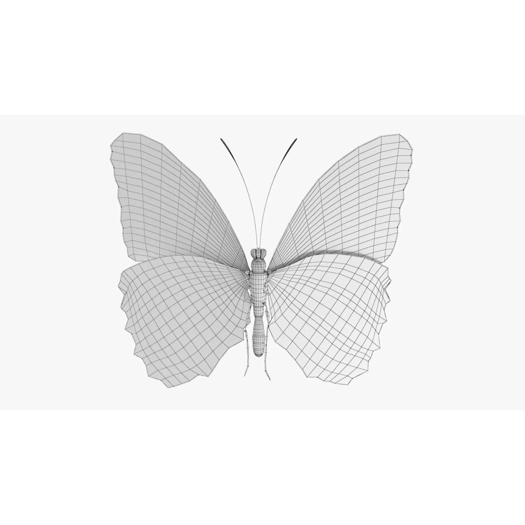 Blue Morpho Butterfly 3D Model – Low Poly PBR Textures, FBX & OBJ - View 15