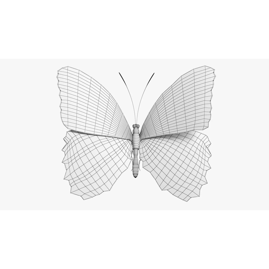 Blue Morpho Butterfly 3D Model – Low Poly PBR Textures, FBX & OBJ - View 17