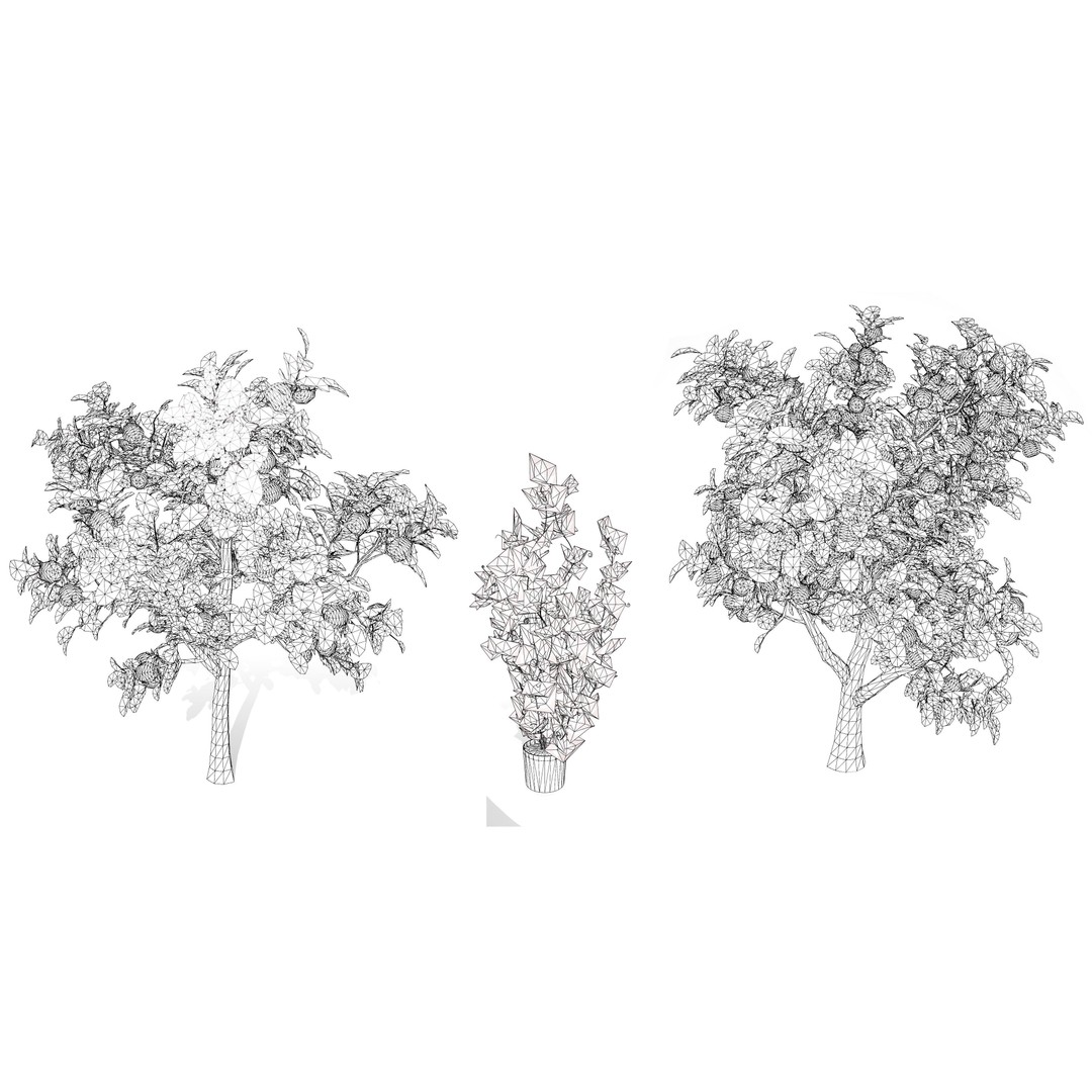Passion Fruit Tree 3D Model – Low Poly Game Asset, FBX, Blender