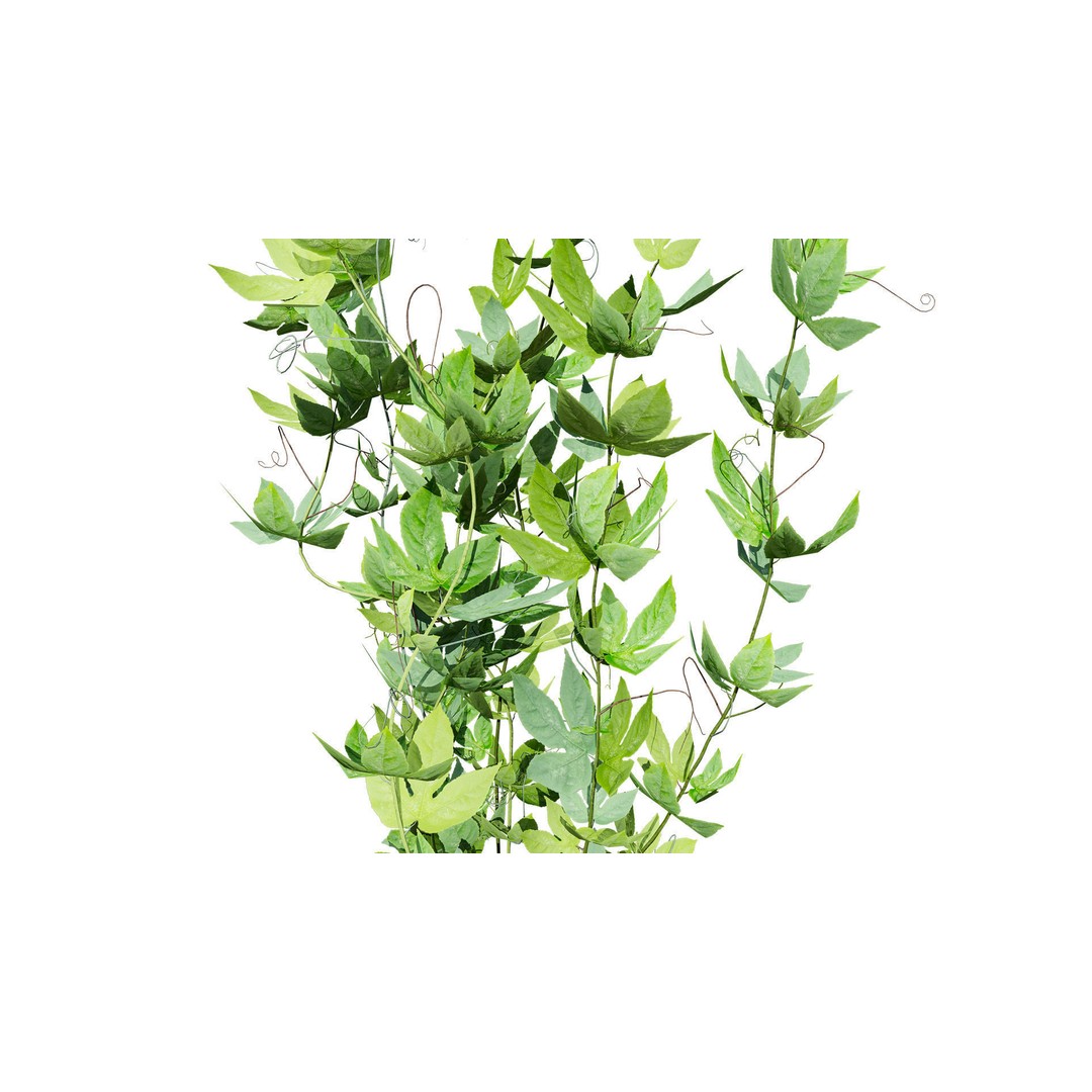 Passion Fruit Tree 3D Model – Low Poly Game Asset, FBX, Blender - View 11