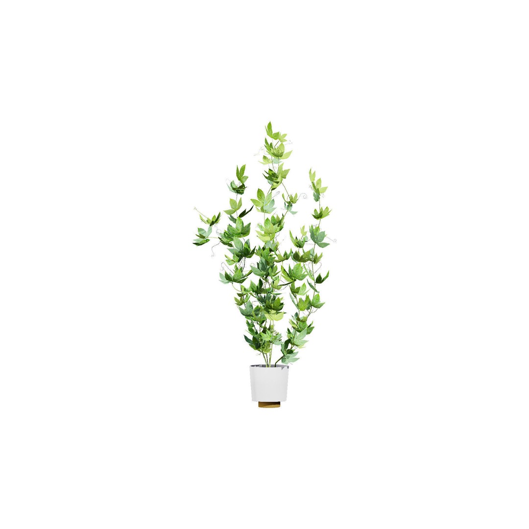 Passion Fruit Tree 3D Model – Low Poly Game Asset, FBX, Blender - View 12
