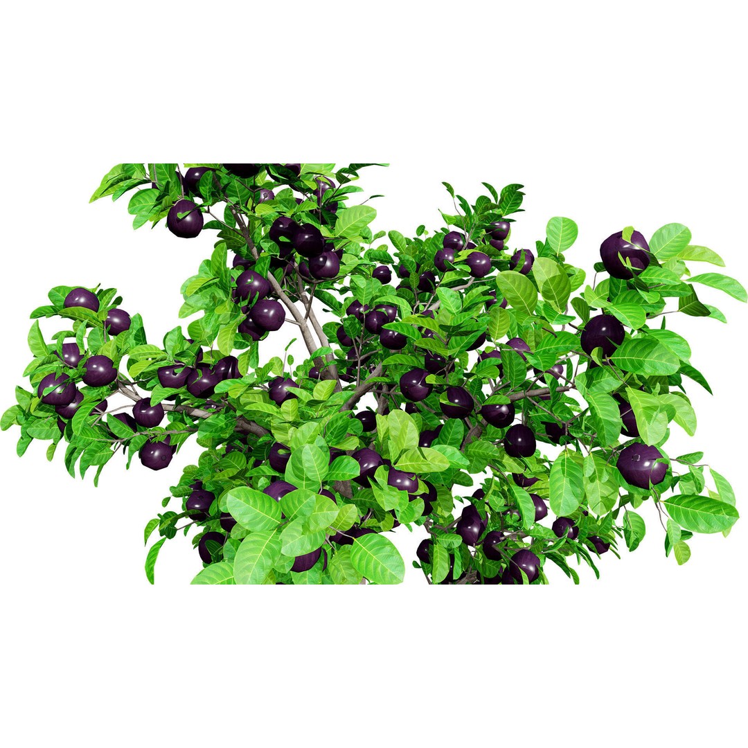 Passion Fruit Tree 3D Model – Low Poly Game Asset, FBX, Blender - View 3
