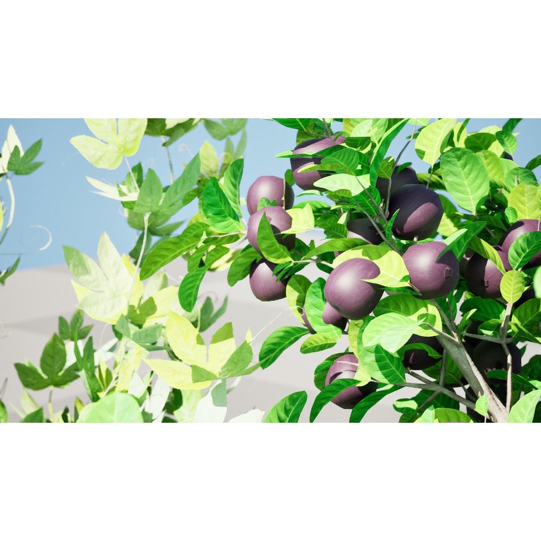 Passion Fruit Tree 3D Model – Low Poly Game Asset, FBX, Blender - View 4