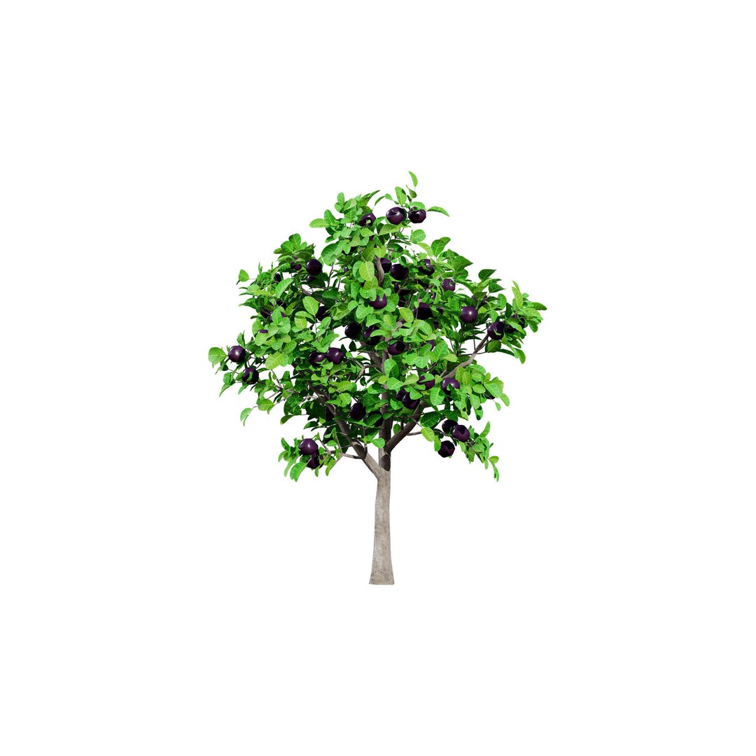 Passion Fruit Tree 3D Model – Low Poly Game Asset, FBX, Blender - View 6