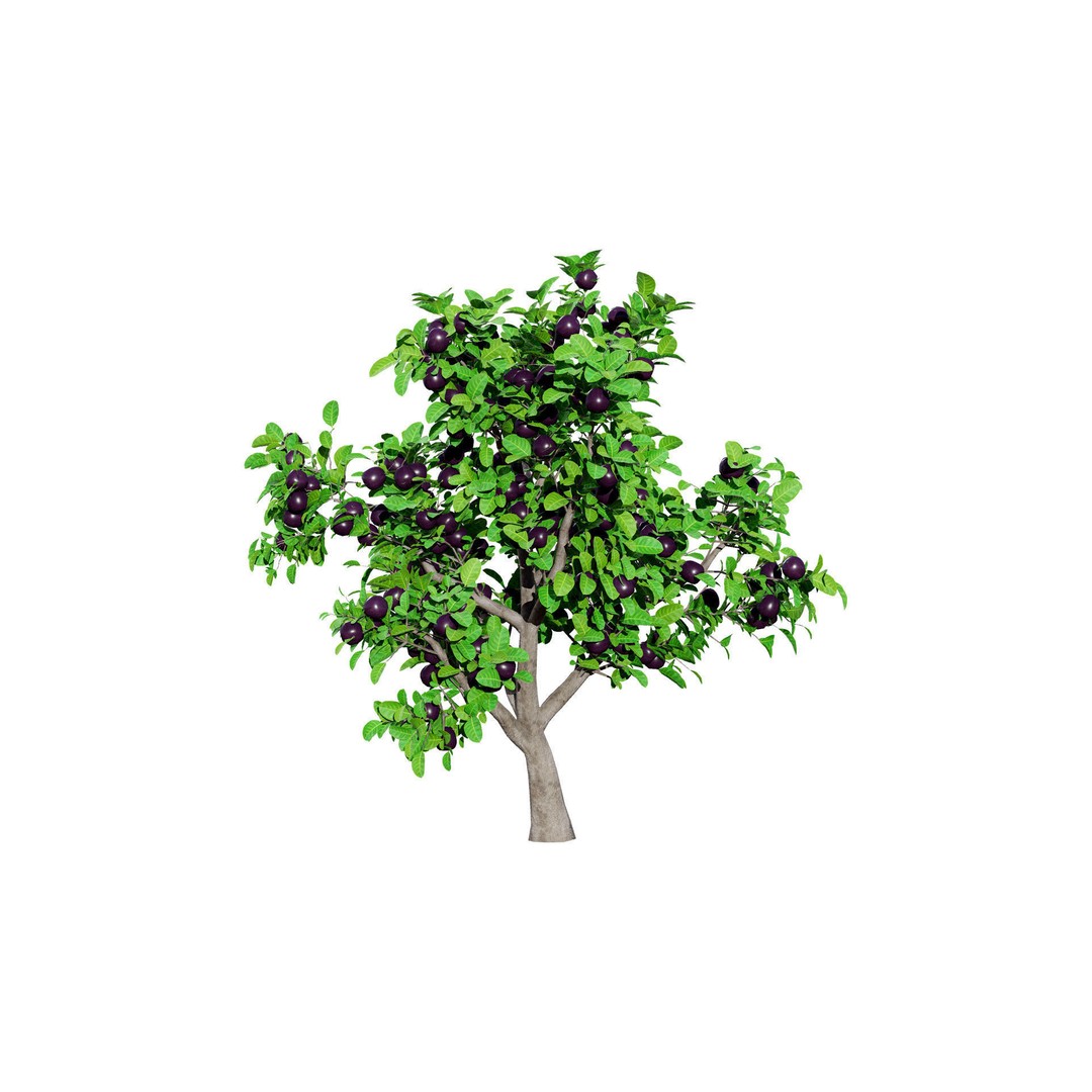 Passion Fruit Tree 3D Model – Low Poly Game Asset, FBX, Blender - View 7
