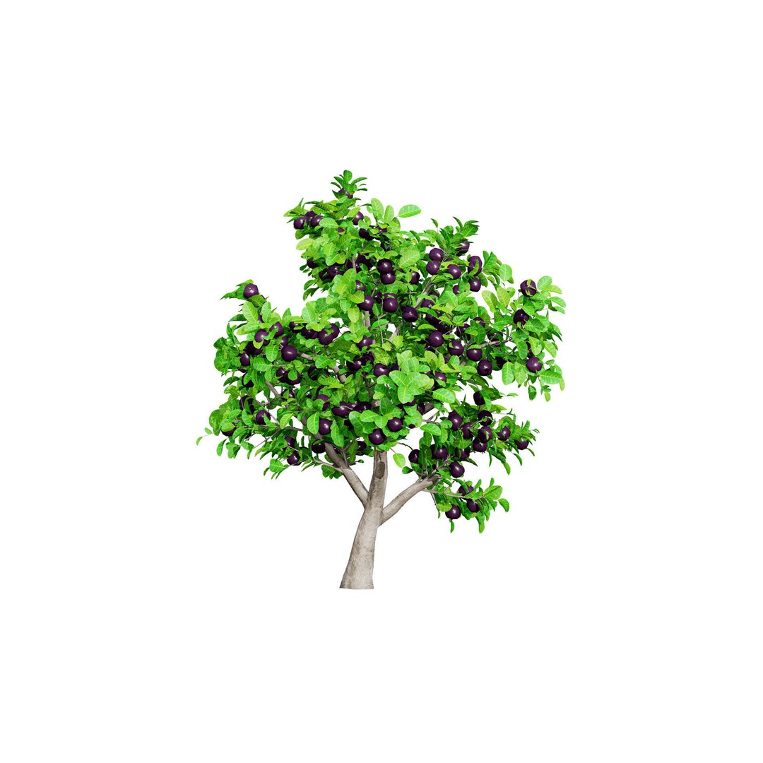 Passion Fruit Tree 3D Model – Low Poly Game Asset, FBX, Blender - View 8