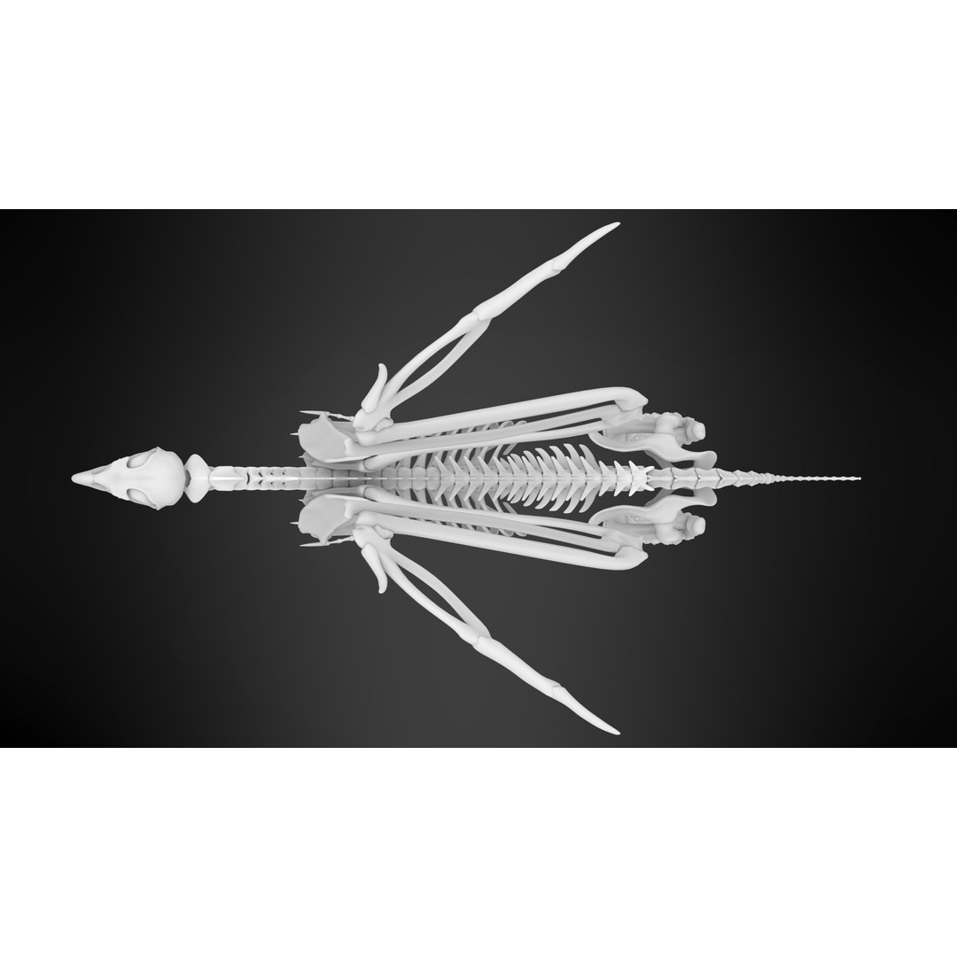Griffin Skeleton 3D Model – High Poly Fantasy Character, Blender, FBX - View 11