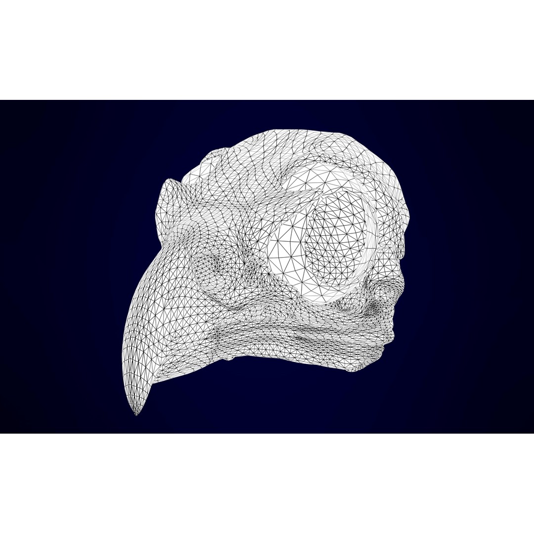Griffin Skeleton 3D Model – High Poly Fantasy Character, Blender, FBX - View 12