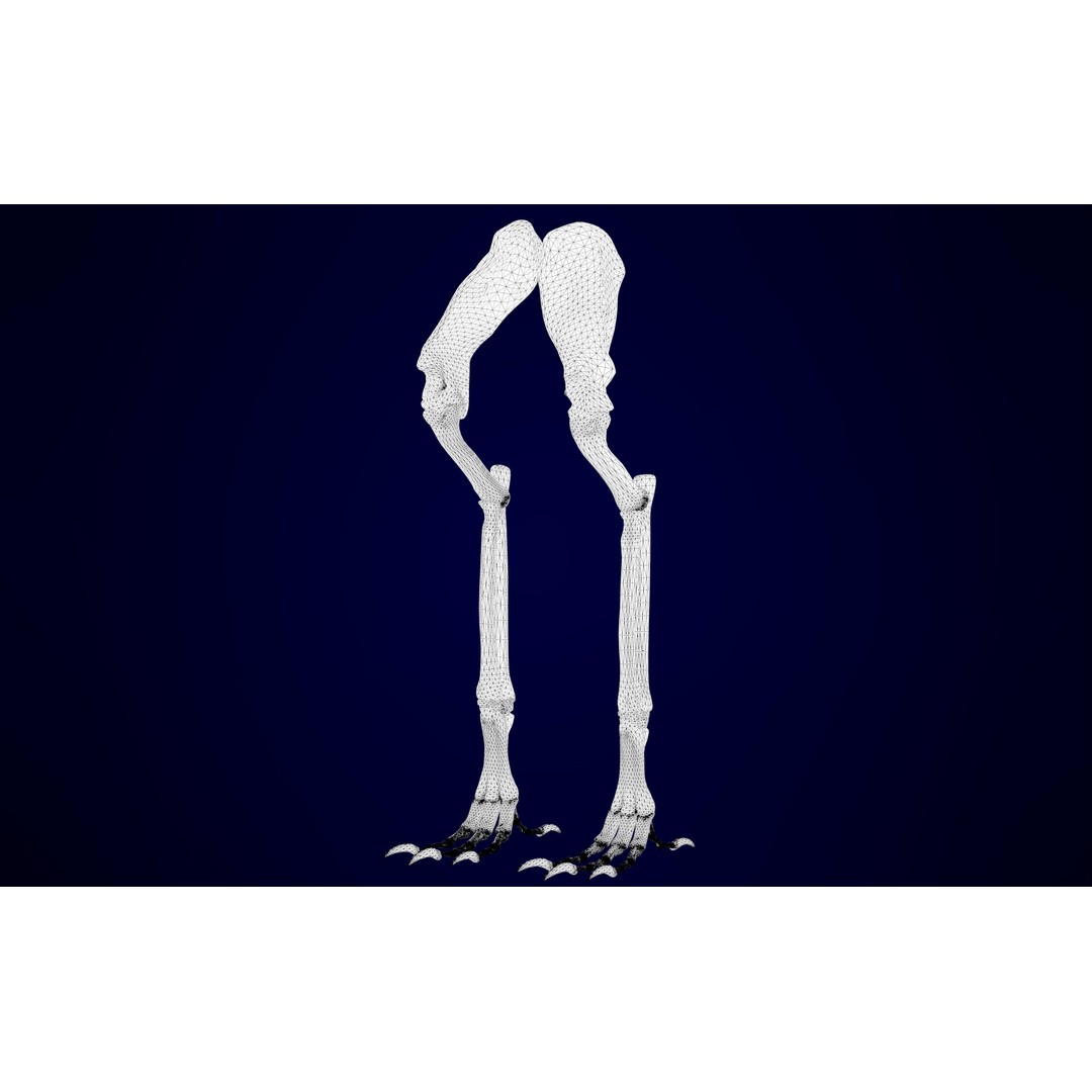Griffin Skeleton 3D Model – High Poly Fantasy Character, Blender, FBX - View 19