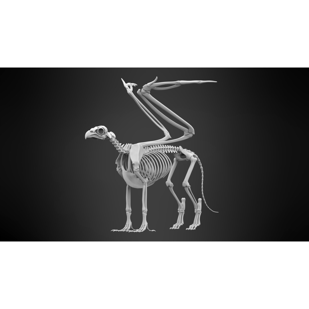 Griffin Skeleton 3D Model – High Poly Fantasy Character, Blender, FBX - View 7