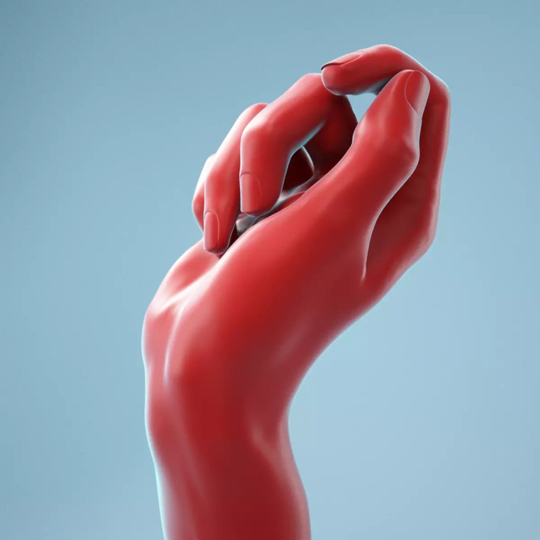 Relaxed Fist 3D Model – High Poly Realistic Hand, FBX, OBJ - View 2